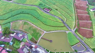眉山仁寿：“四好农村路”条条坦途通振兴